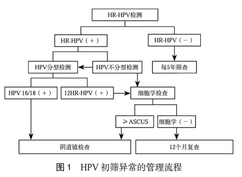 临床指南|中国子宫颈癌筛查指南（二）