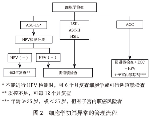 临床指南|中国子宫颈癌筛查指南（二）