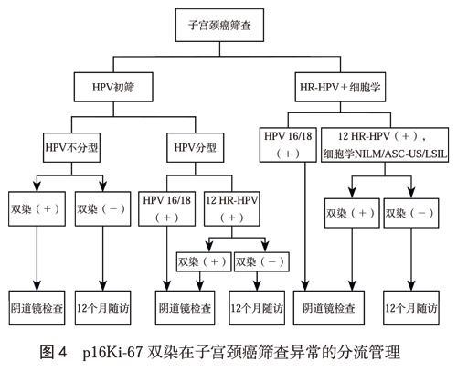 临床指南|中国子宫颈癌筛查指南（二）