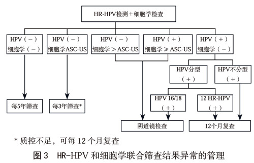 临床指南|中国子宫颈癌筛查指南（二）